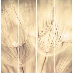 BILDERWELTEN Ensemble De Rideaux Coulissants - Dandelions Close-Up In Homely Sepia Tones - 4 Rideaux à Panneaux Dimension: 250 X 240cm (4 Rideaux á 250 X 60cm), Système De Montage: Sans Suspension 9 BILDERWELTEN Ensemble De Rideaux Coulissants - Dandelions Close-Up In Homely Sepia Tones - 4 Rideaux à Panneaux Dimension: 250 X 240cm (4 Rideaux á 250 X 60cm), Système De Montage: Sans Suspension -Promos Store Boutique 11387467 3