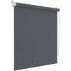 Decosol Store Roulant Occultant Mini Anthracite 52x160 Cm - Anthracite -Promos Store Boutique 12001441 1
