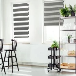 IDMARKET Lot De 2 Stores Enrouleurs Zébrés Jour Nuit L.55 X H. Max 170 CM Gris - Gris