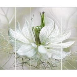 BILDERWELTEN Ensemble De Rideaux Coulissants - White Nigella - 5 Rideaux à Panneaux Dimension: 250 X 300cm (5 Rideaux á 250 X 60cm), Système De Montage: Sans Suspension -Promos Store Boutique 41698056 3