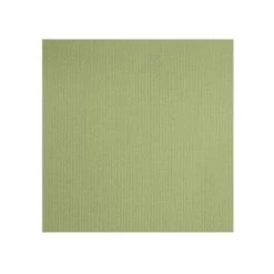 MADECOSTORE Store Enrouleur Occultant Uni H190cm - Vert Fougère - L64 X H190cm - Vert Fougère -Promos Store Boutique 43996937 4