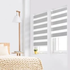 IDMARKET Lot De 2 Stores Enrouleurs Zébrés Jour Nuit L.55 X H. Max 170 Cm Gris Clair