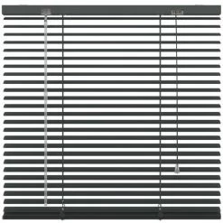 Store Horizontal Decosol Aluminium Anthracite 25mm 160x250cm - Anthracite