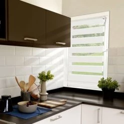 IDMARKET Store Enrouleur Zébré Jour Nuit 60 X 120 Cm Blanc - Blanc